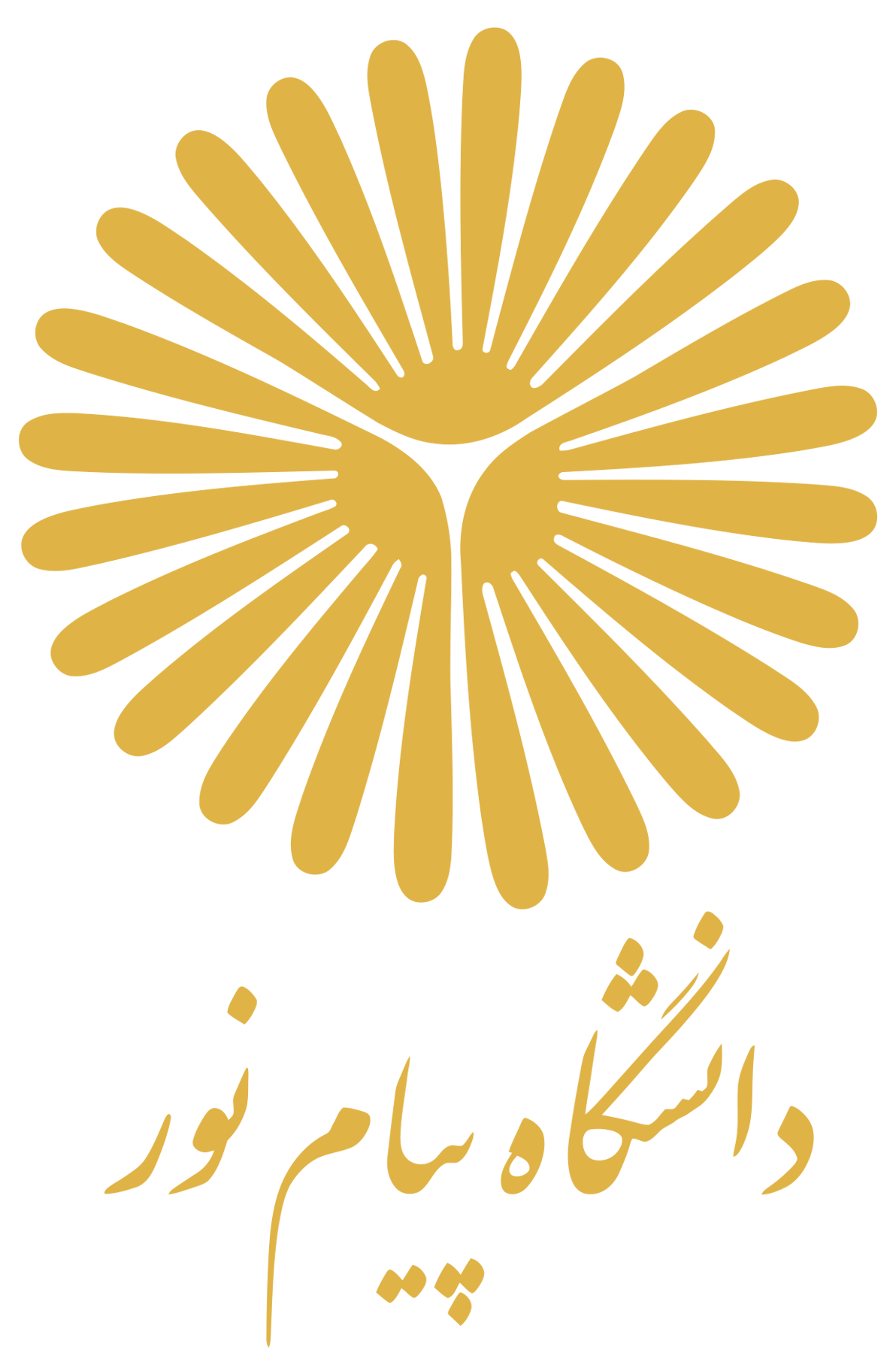 دانشگاه پیام نور